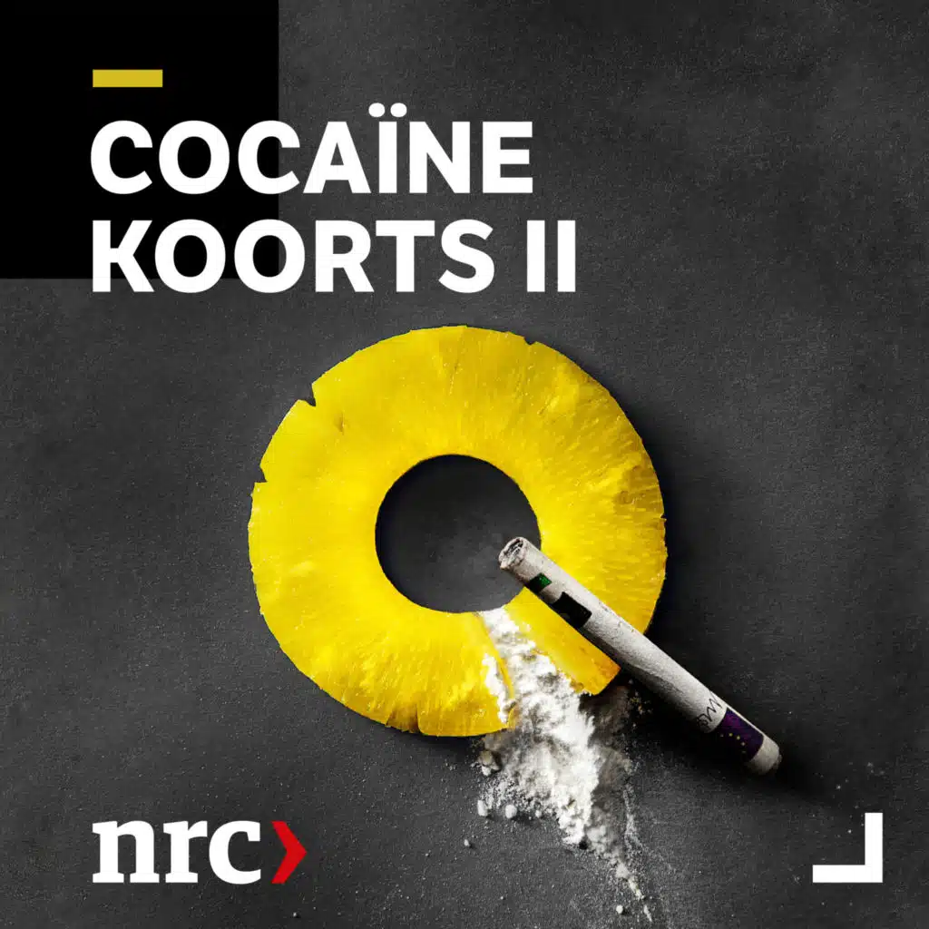 Cocaïnekoorts II: Ontsleutelde berichten