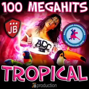 100 Megahits Tropical Latin Hits 2013 (New Collection)