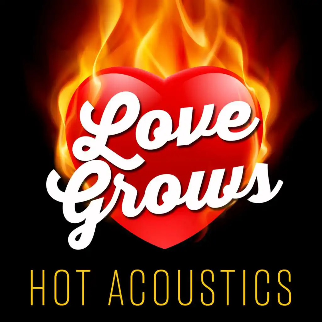 Love Grows - Hot Acoustics