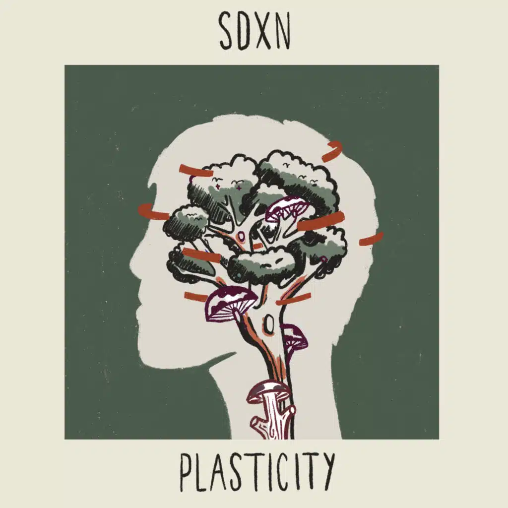 Plasticity (feat. Marikiscrycrycry)