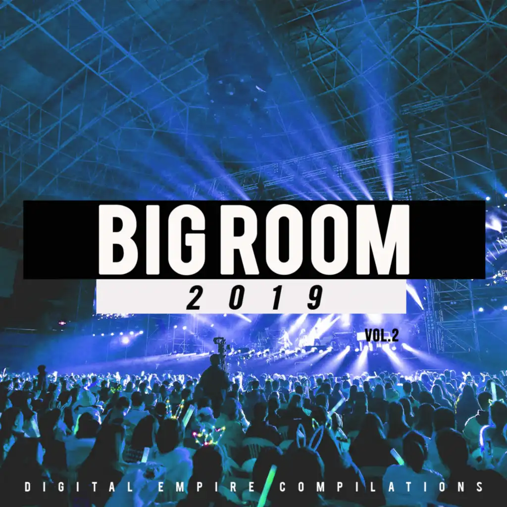 Big Room 2019, Vol.2