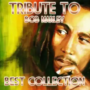 Tribute to Bob Marley (Best Collection)