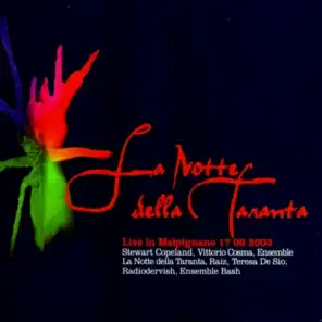 La notte della Taranta (Live in Melpignano 17/08/2003)