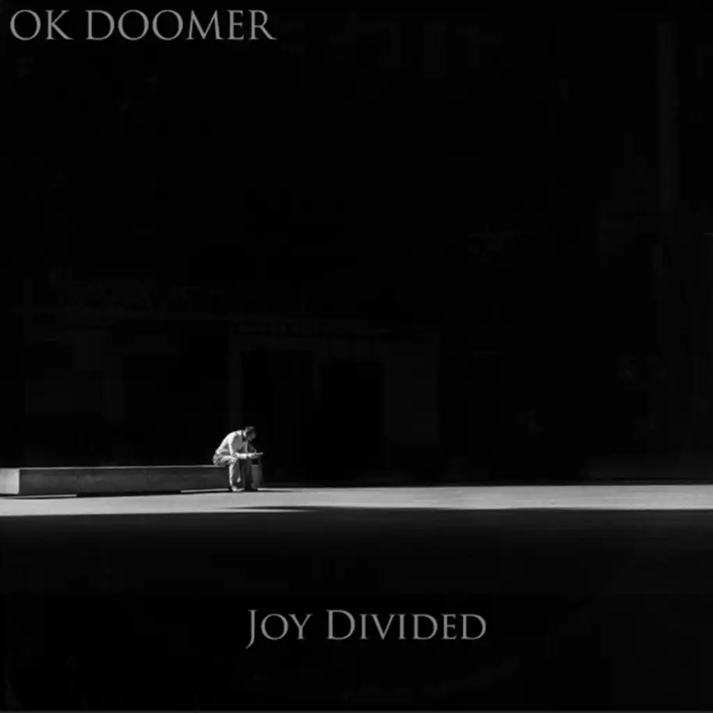 Joy Divided