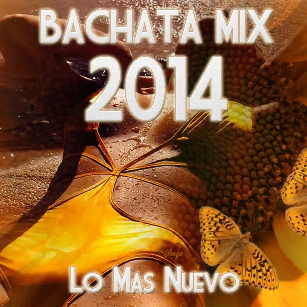 Bachata Mix 2014 (Lo Más Nuevo)