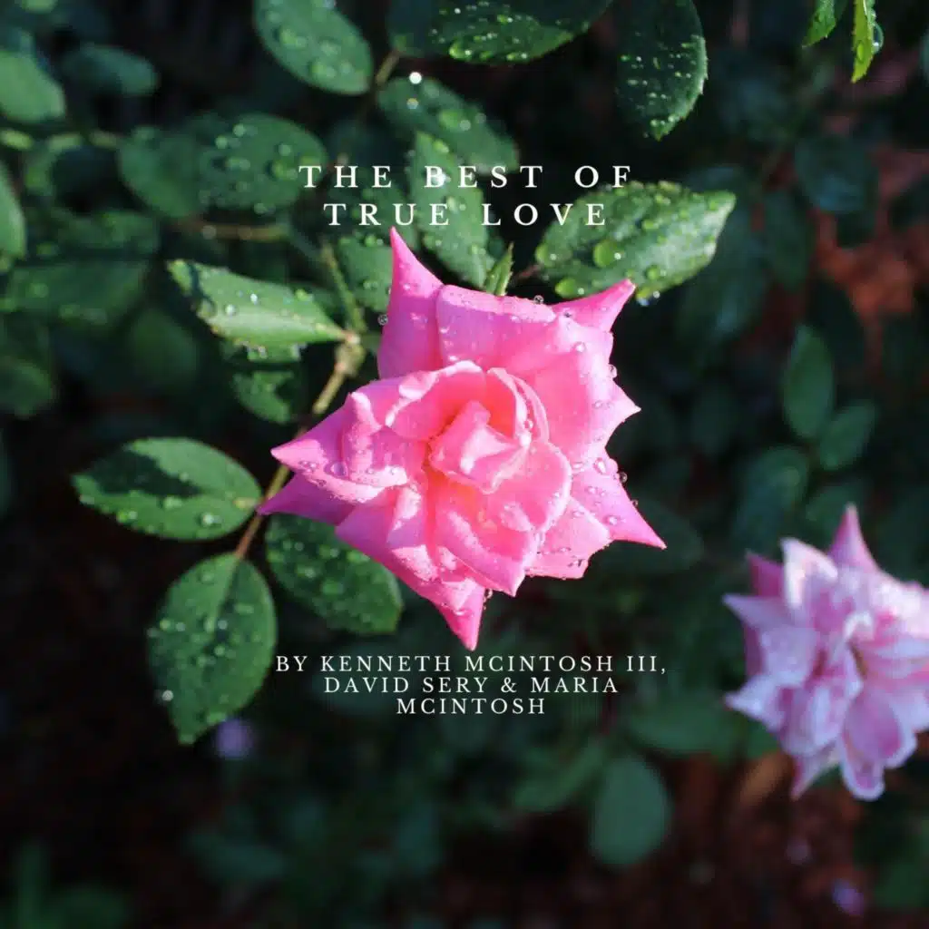 The Best of True Love