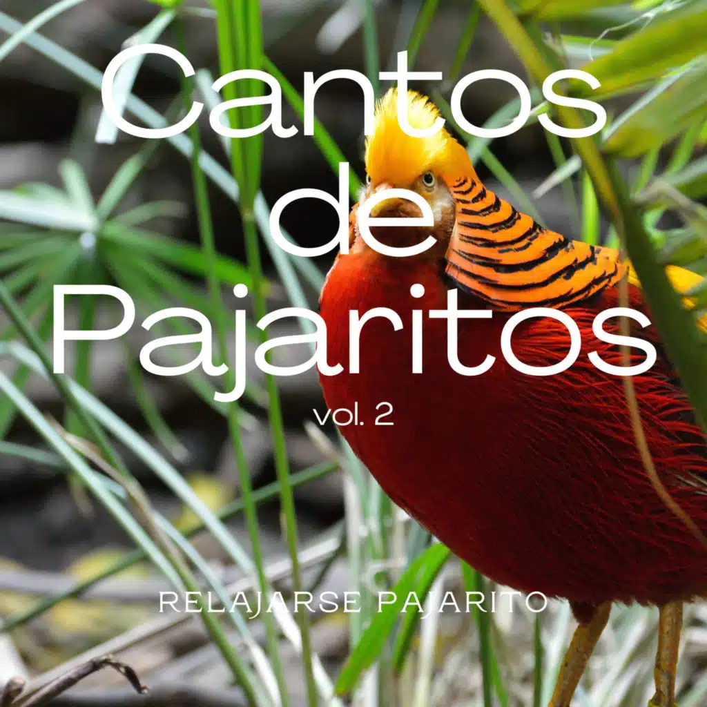 Los Ruidos Increíbles de la Naturaleza