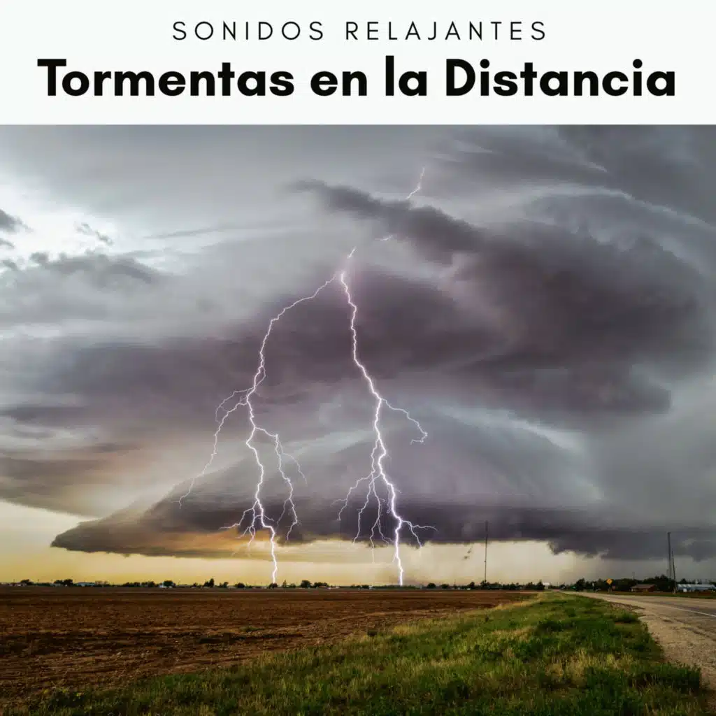 Tormentas Eléctricas en el Bosque con Pajaritos Cantando y Música de la Lluvia pt. 8