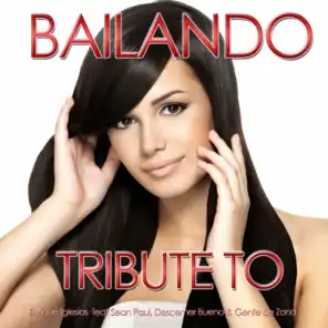 Bailando (Karaoke Version) (Originally Performed By Enrique Iglesias)