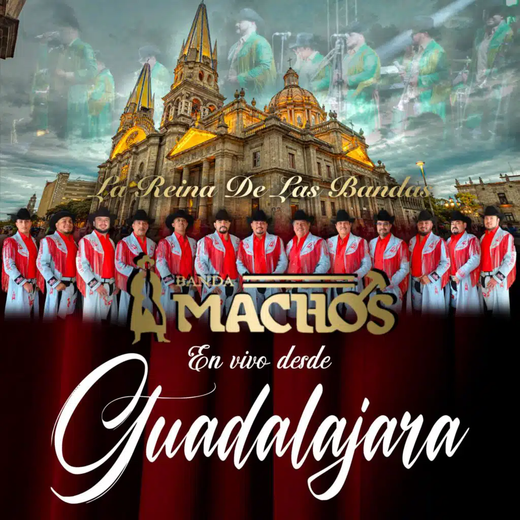 Banda Machos (W)