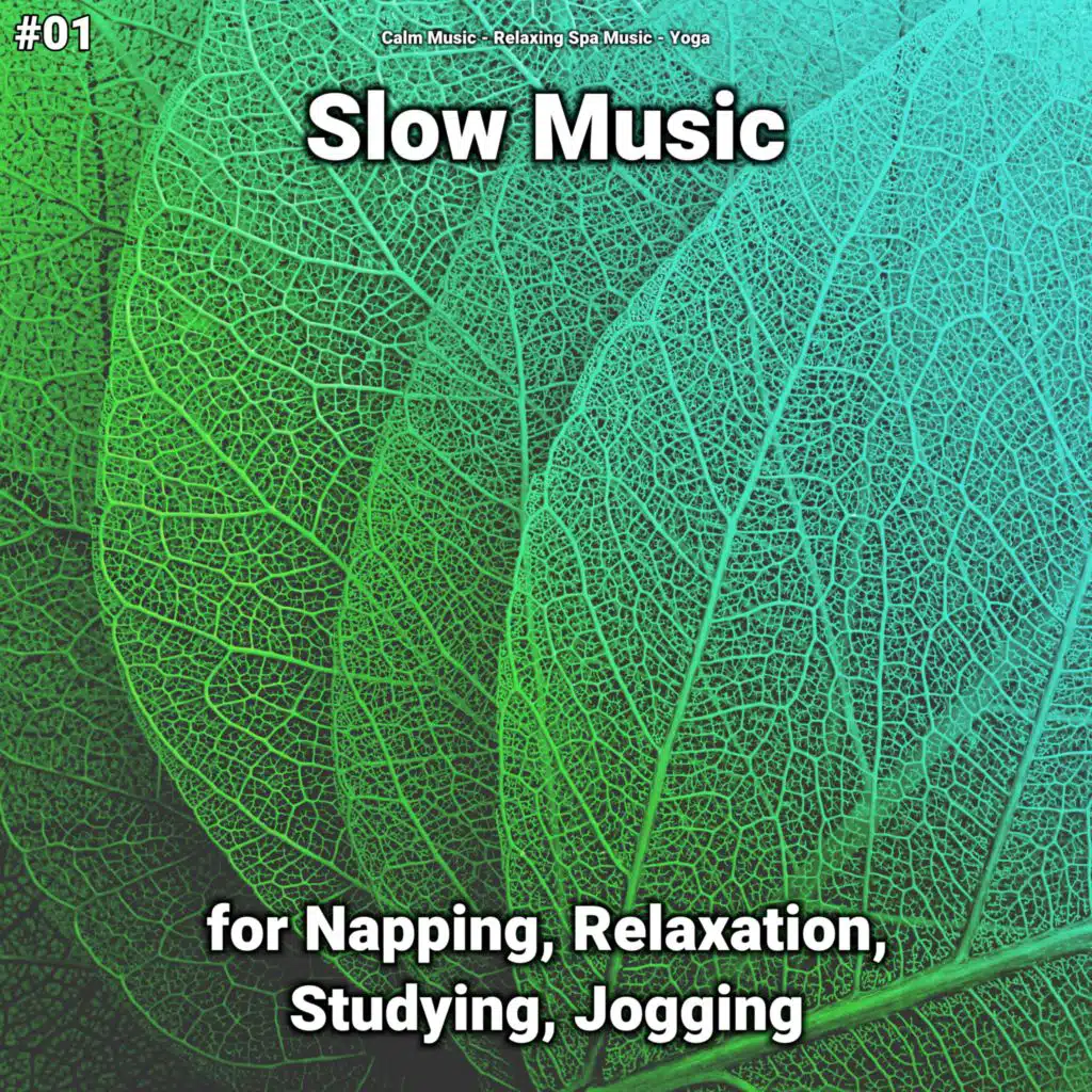 Slow Music, Pt. 9