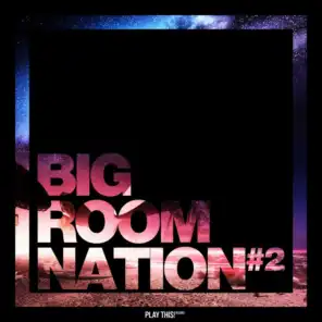 Big Room Nation, Vol. 2