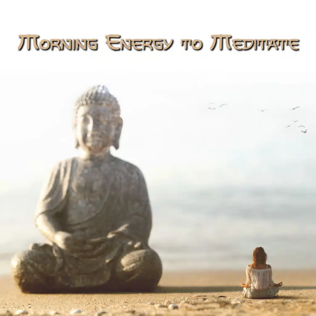 Walking in the Forest