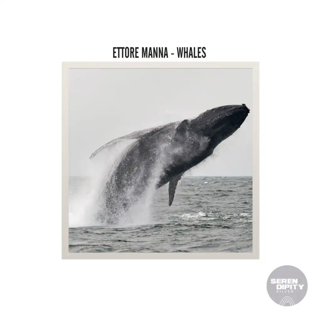 Whales (Radio Edit)