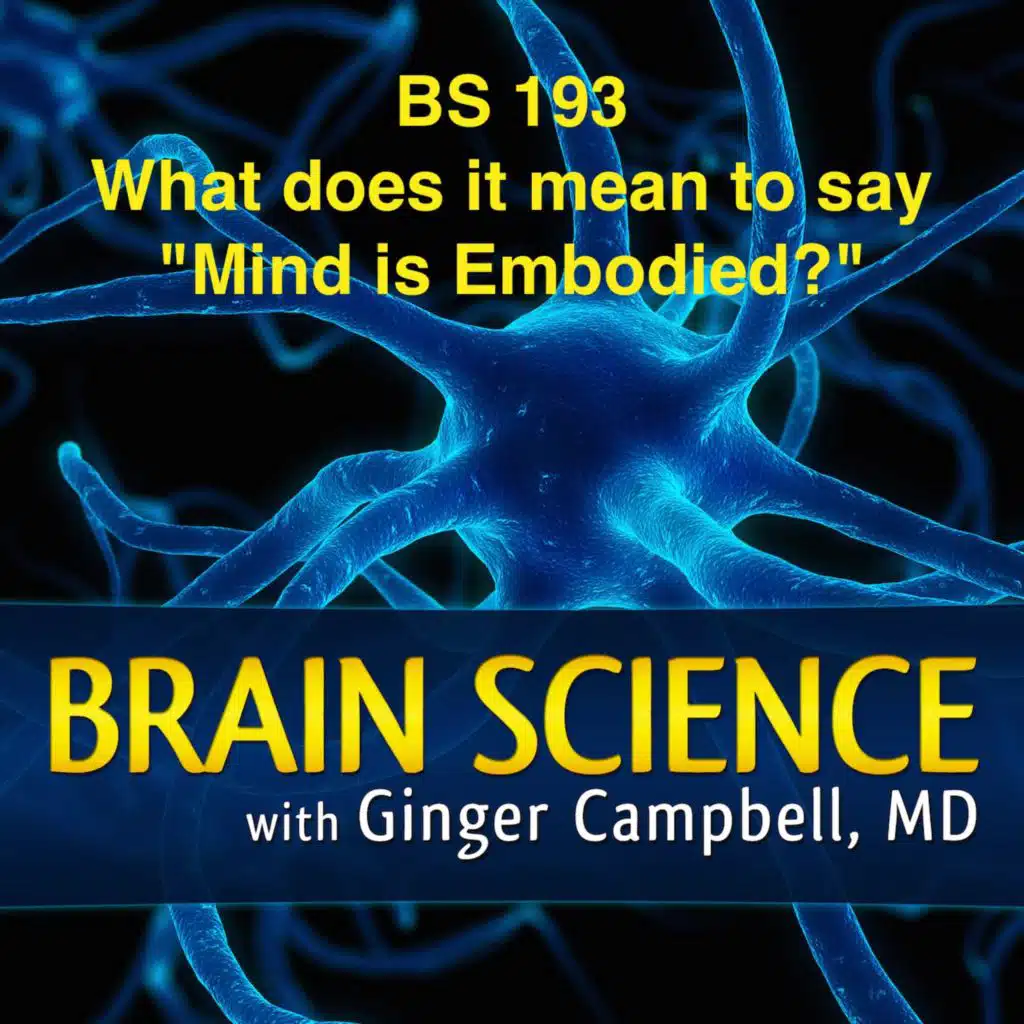 BS 193 "Embodied Mind:" What does this mean?