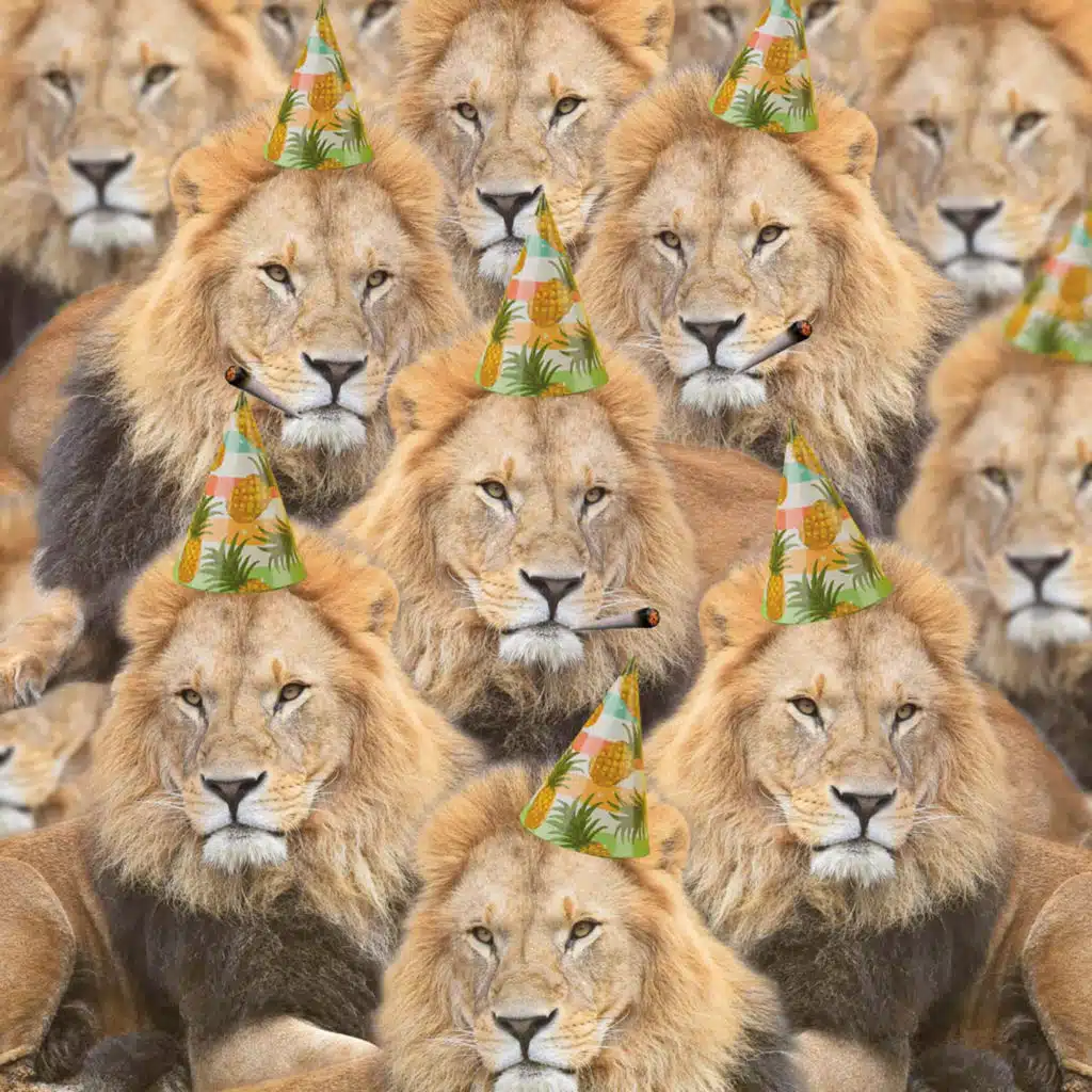Party Lions (feat. Murder By Death)