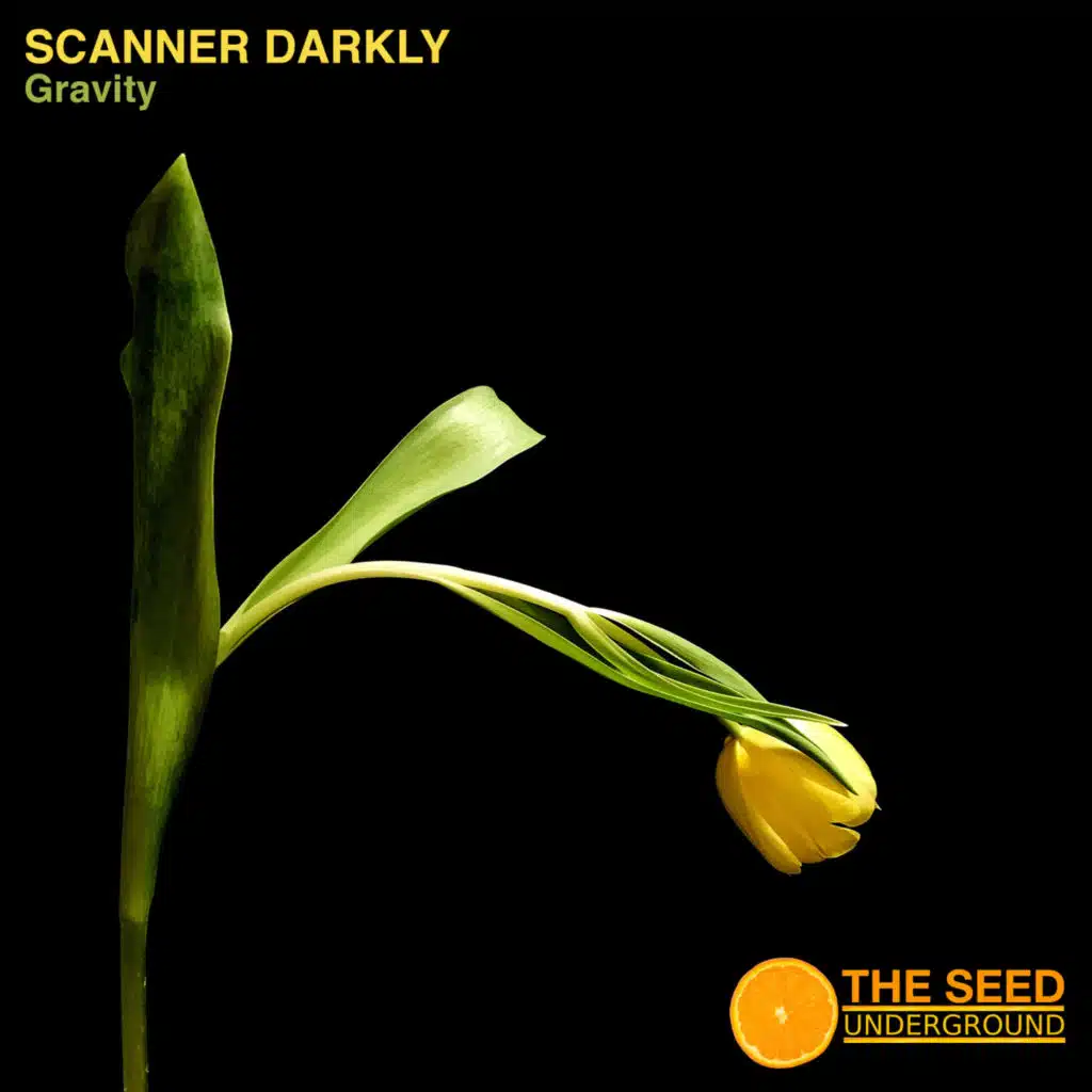 Scanner Darkly