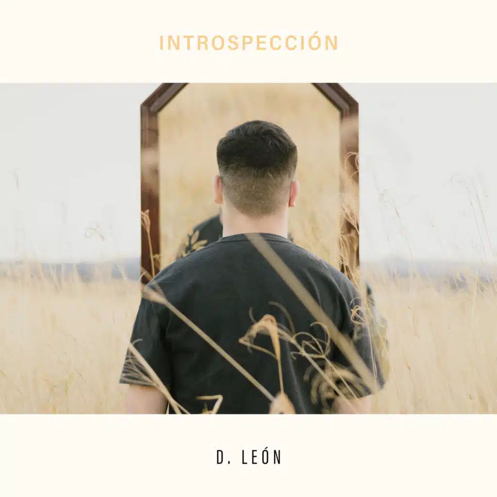 Introspección