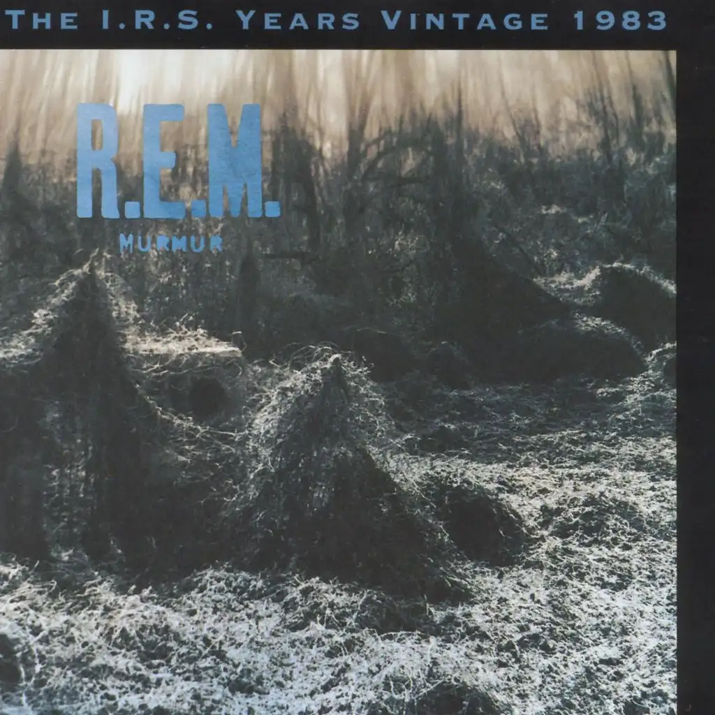 Murmur:  The I.R.S. Years Vintage 1983