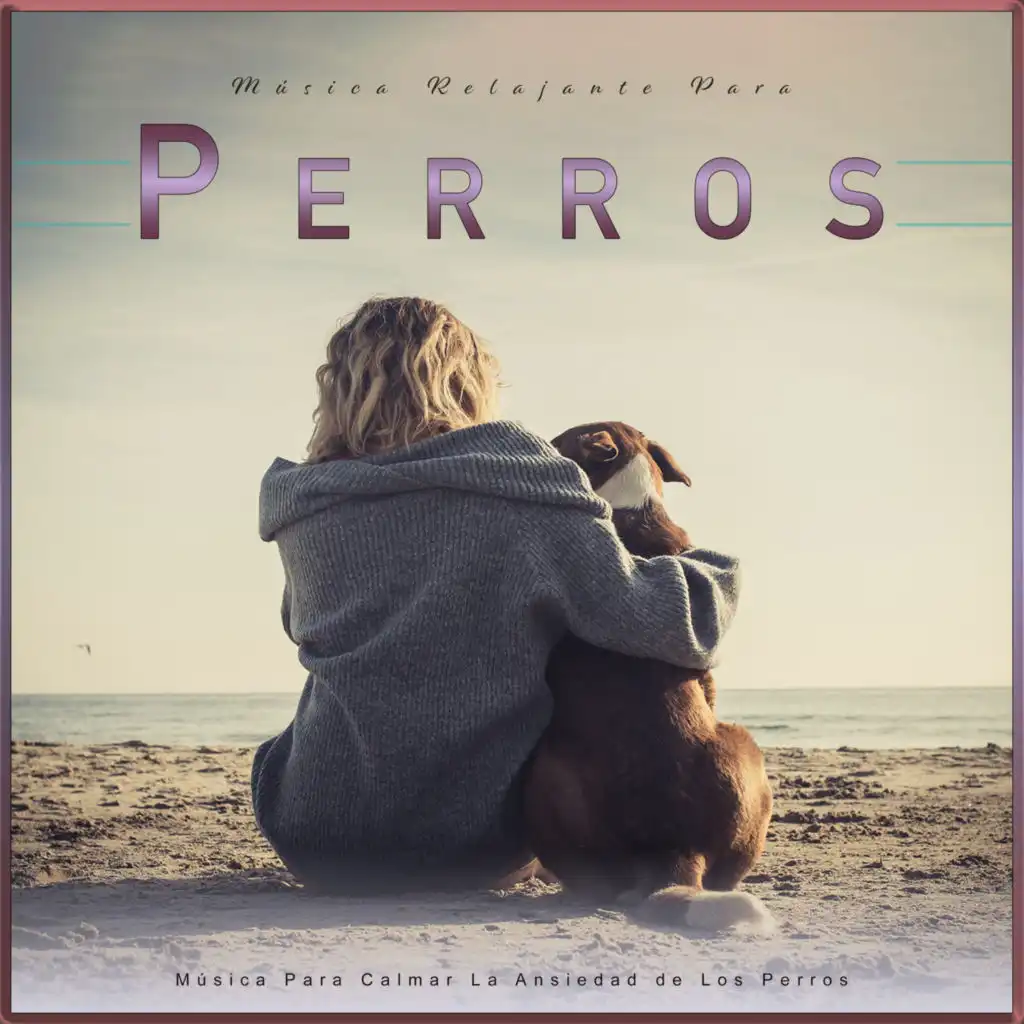 Música Relajante Para Perros: Música Para Calmar La Ansiedad de Los Perros