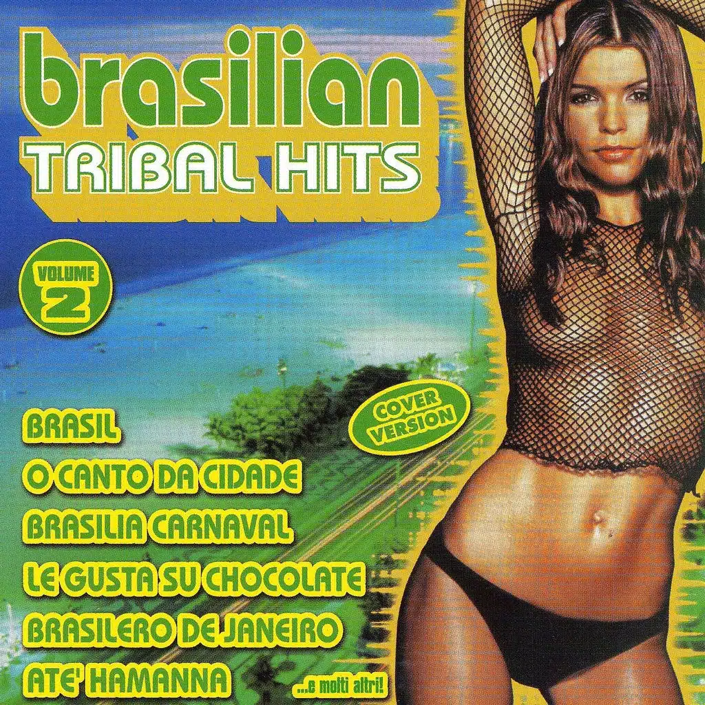 Brasilian Tribal Hits, Vol. 2