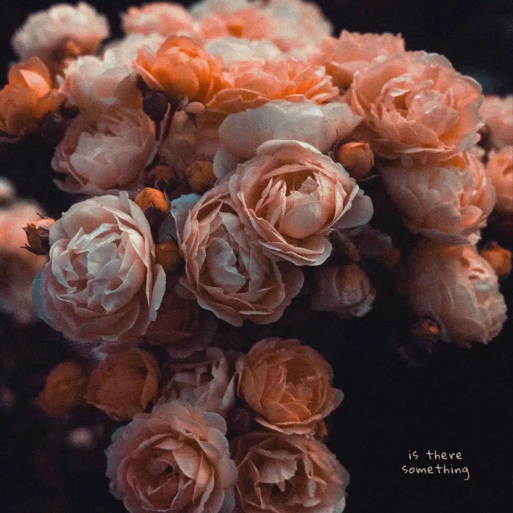 Is There Something? (feat. Dillan Witherow)