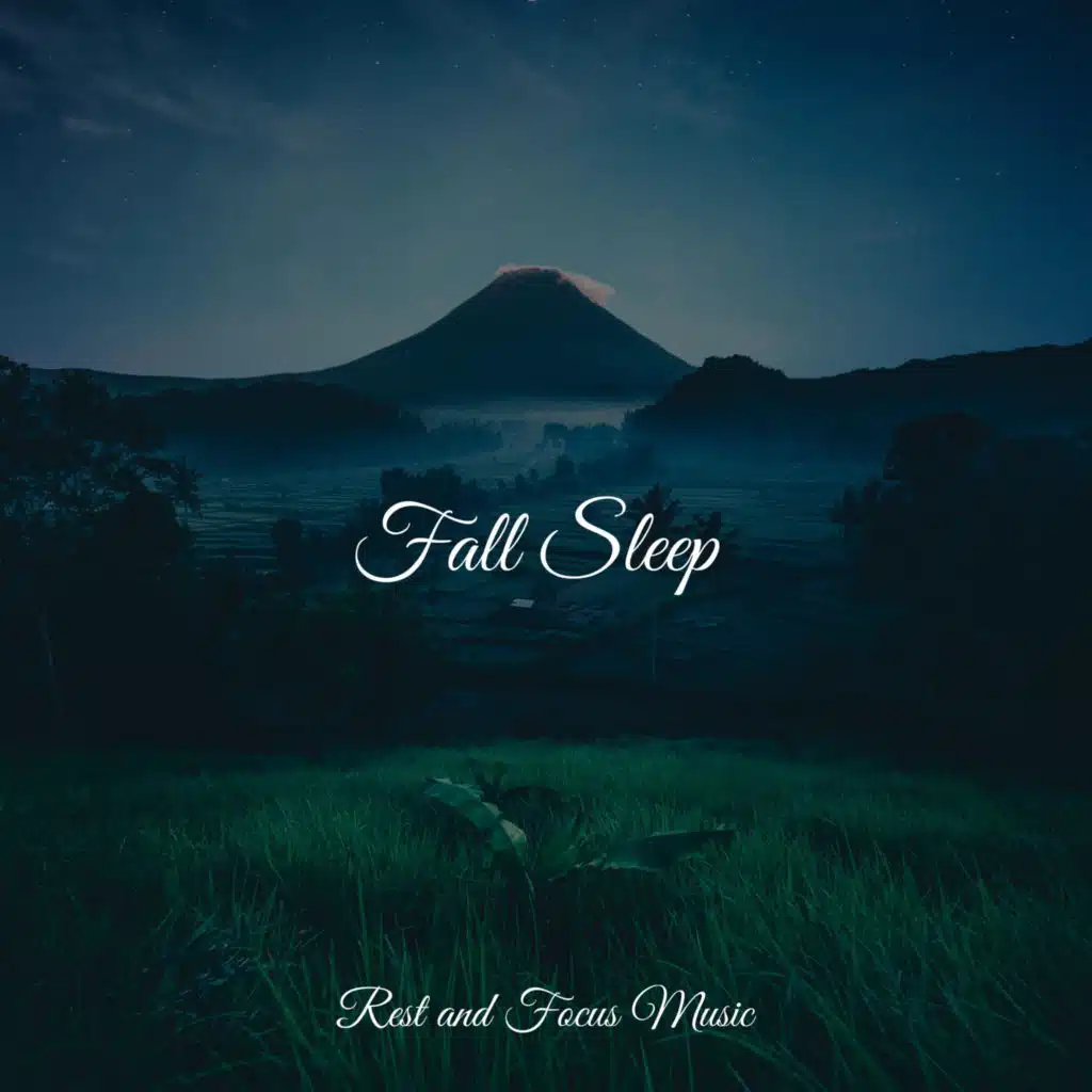 Fall Sleep