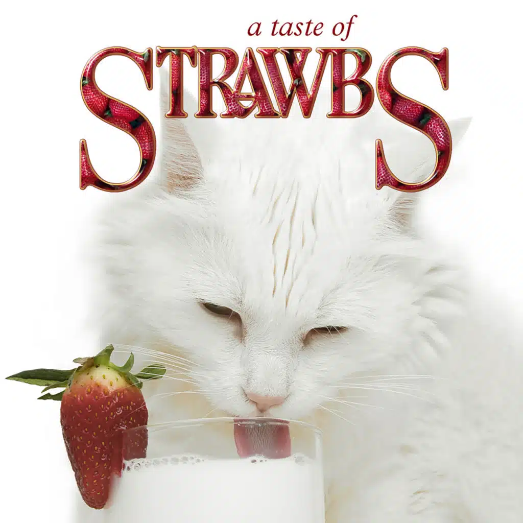 A Taste of Strawbs