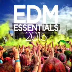 EDM Essentials 2015