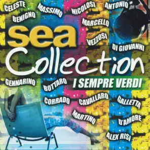 Sea collection: I sempre verdi