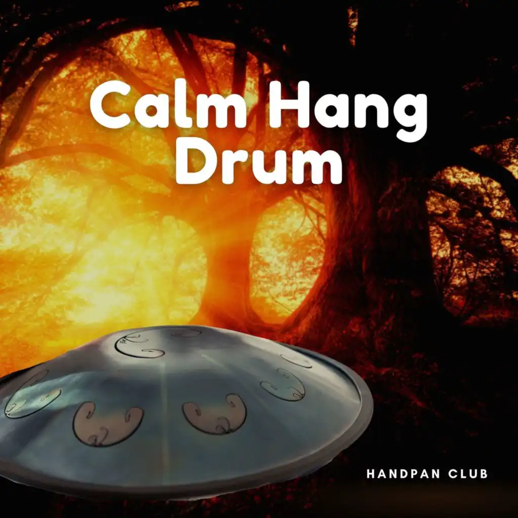 Calm Hang Drum Music for Relaxation