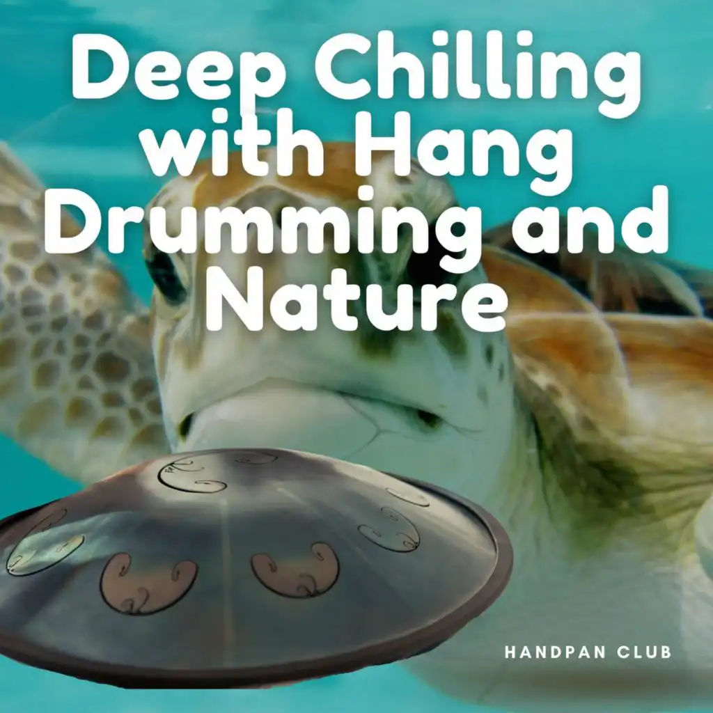 Handpan Melody (Relaxing Nature Sounds with Beats)