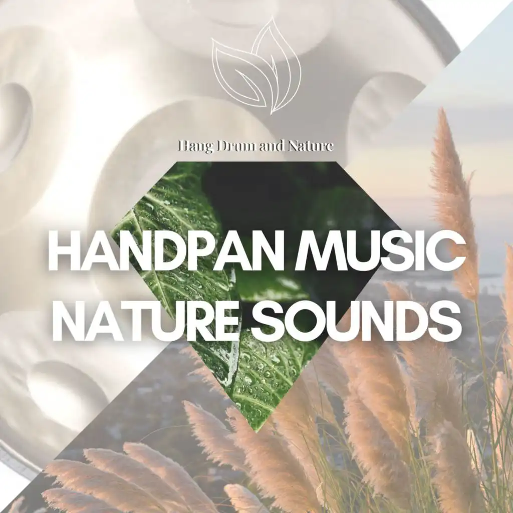 Handpan Magic (with Nature Sounds and Chill Drums)