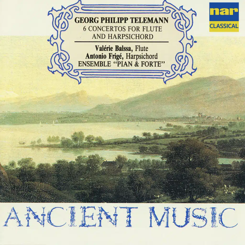 Concerto n. 1 in D Major: I. Piacevole