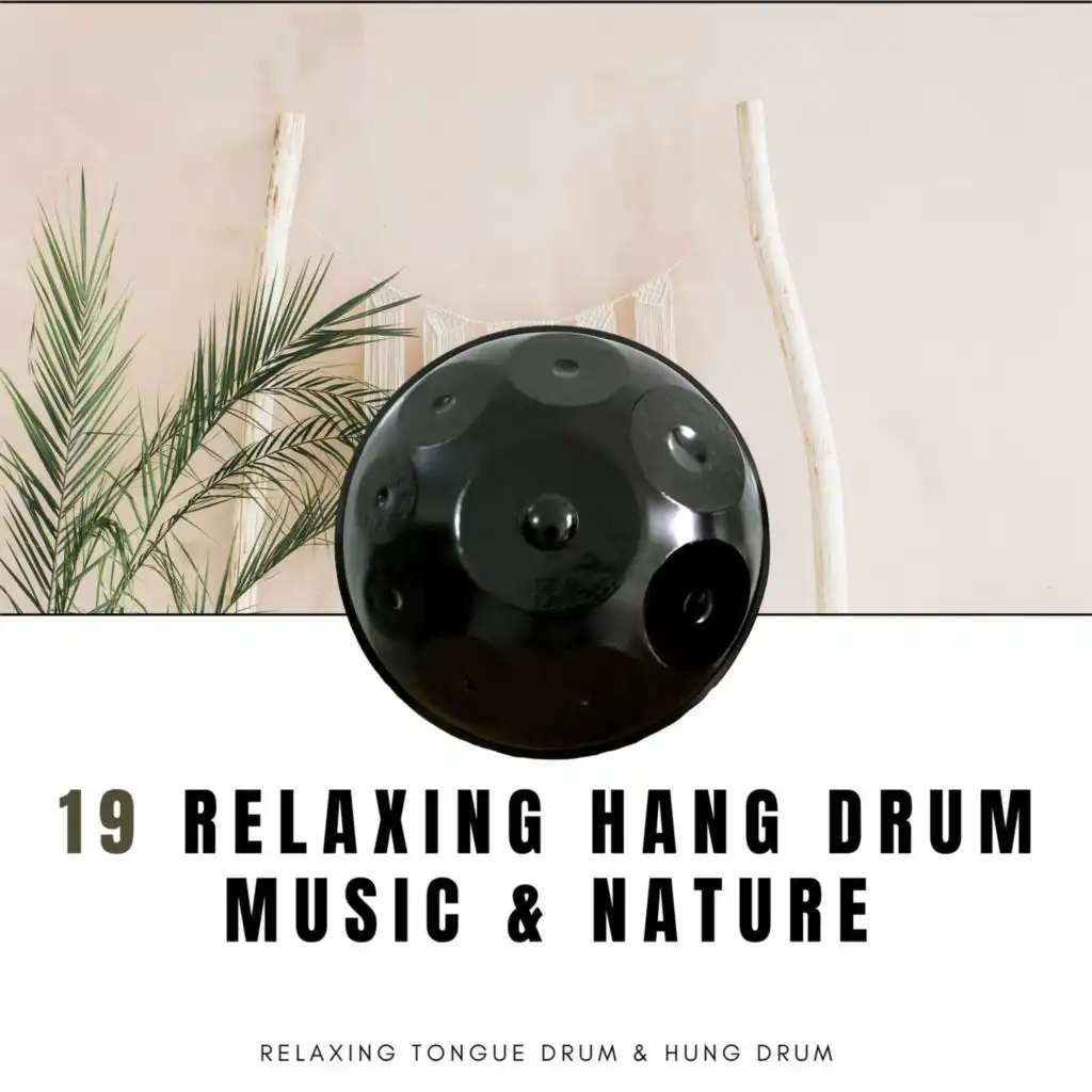 Hang Drum Music & Nature