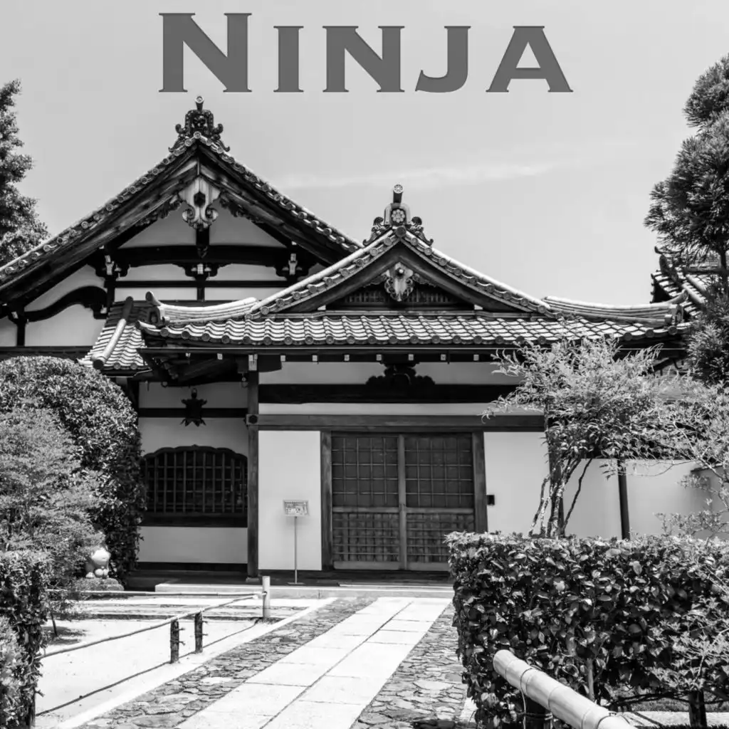 Ninja (feat. NerdOut)