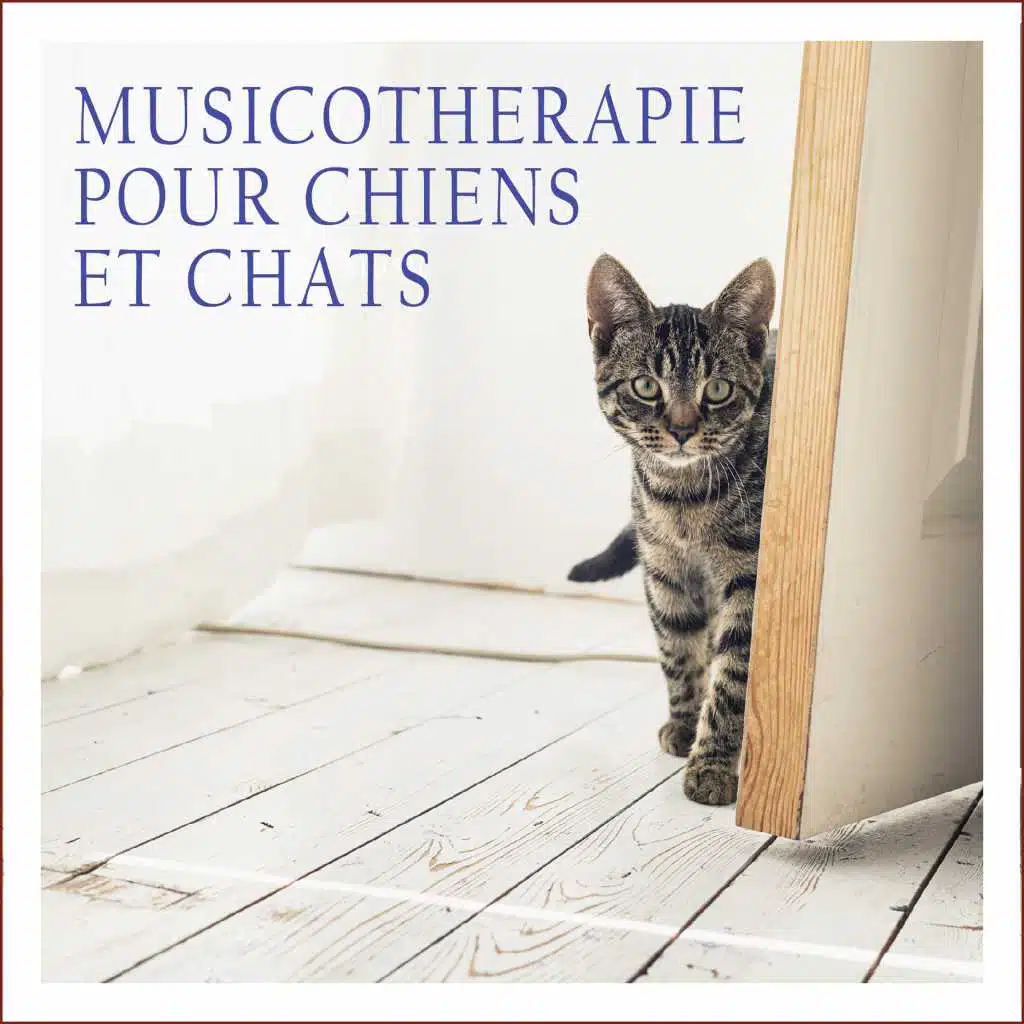 Musicothérapie pour chiens et chats