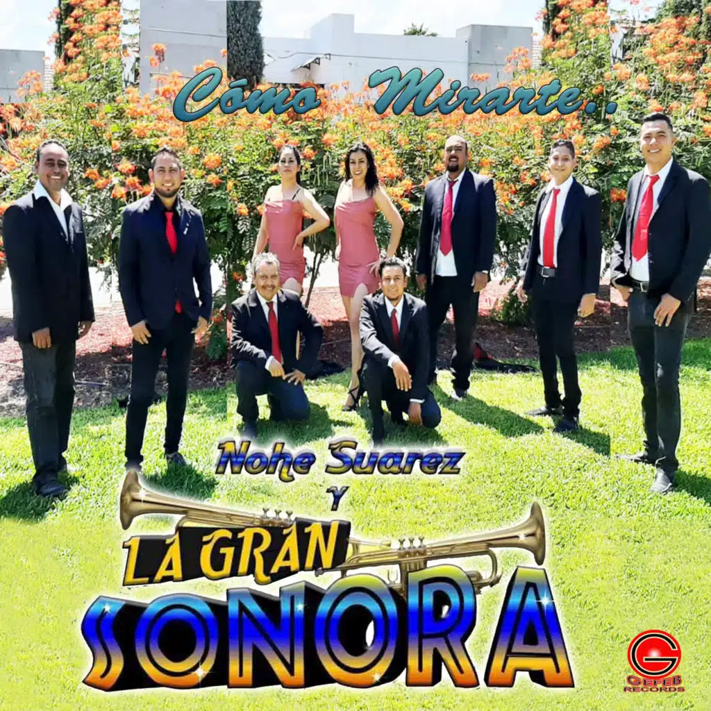 Como No Voy a Quererte