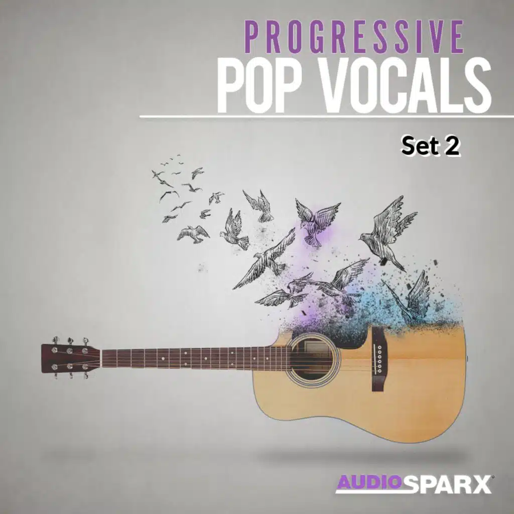 Progressive Pop Vocals, Set 2