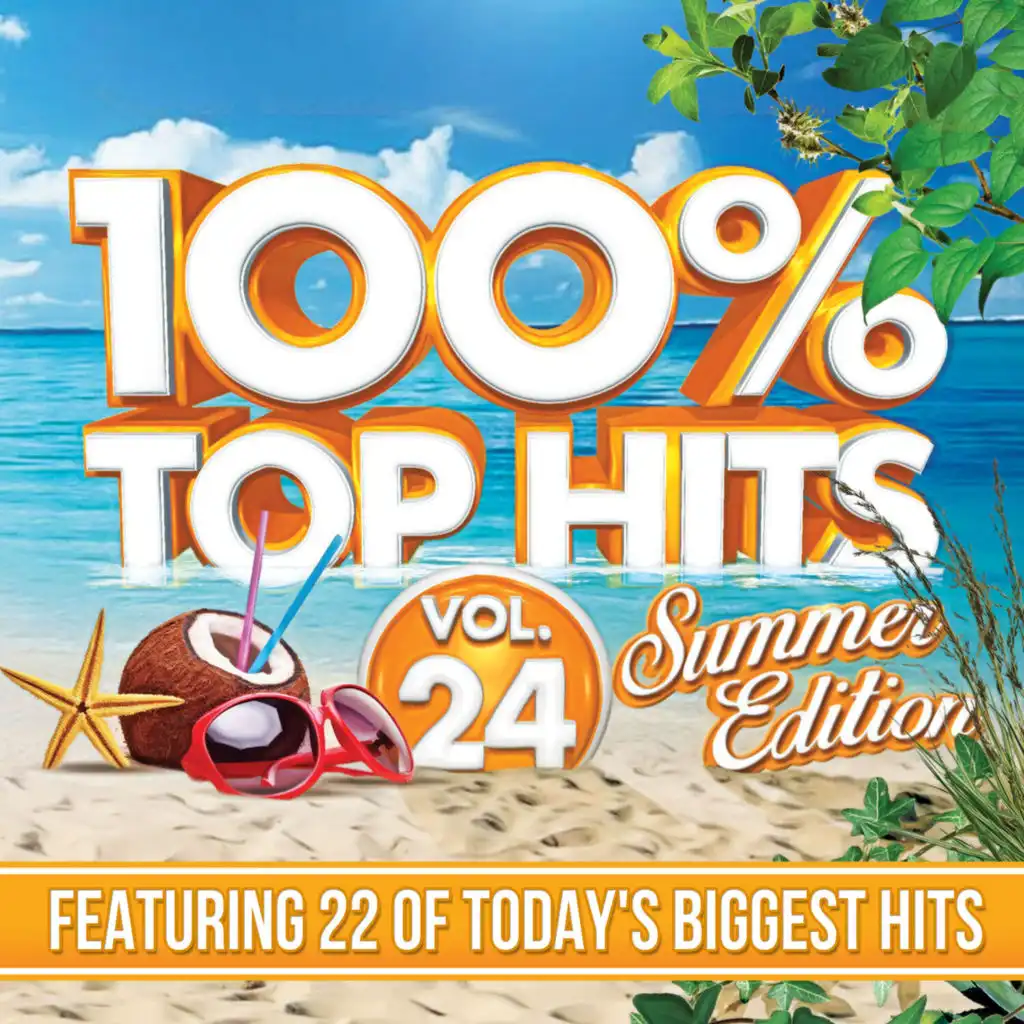 100% Top Hits, Vol. 24