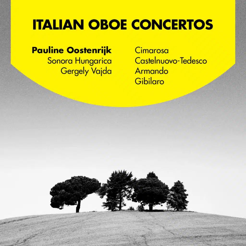 Concerto in C Minor for Oboe and Strings: IV. Allegro giusto
