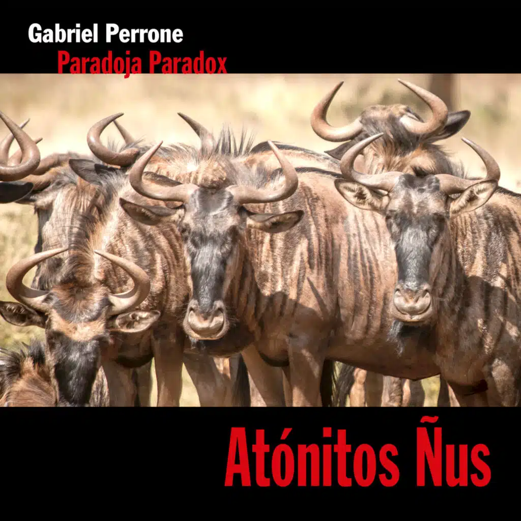 Atónitos Ñus