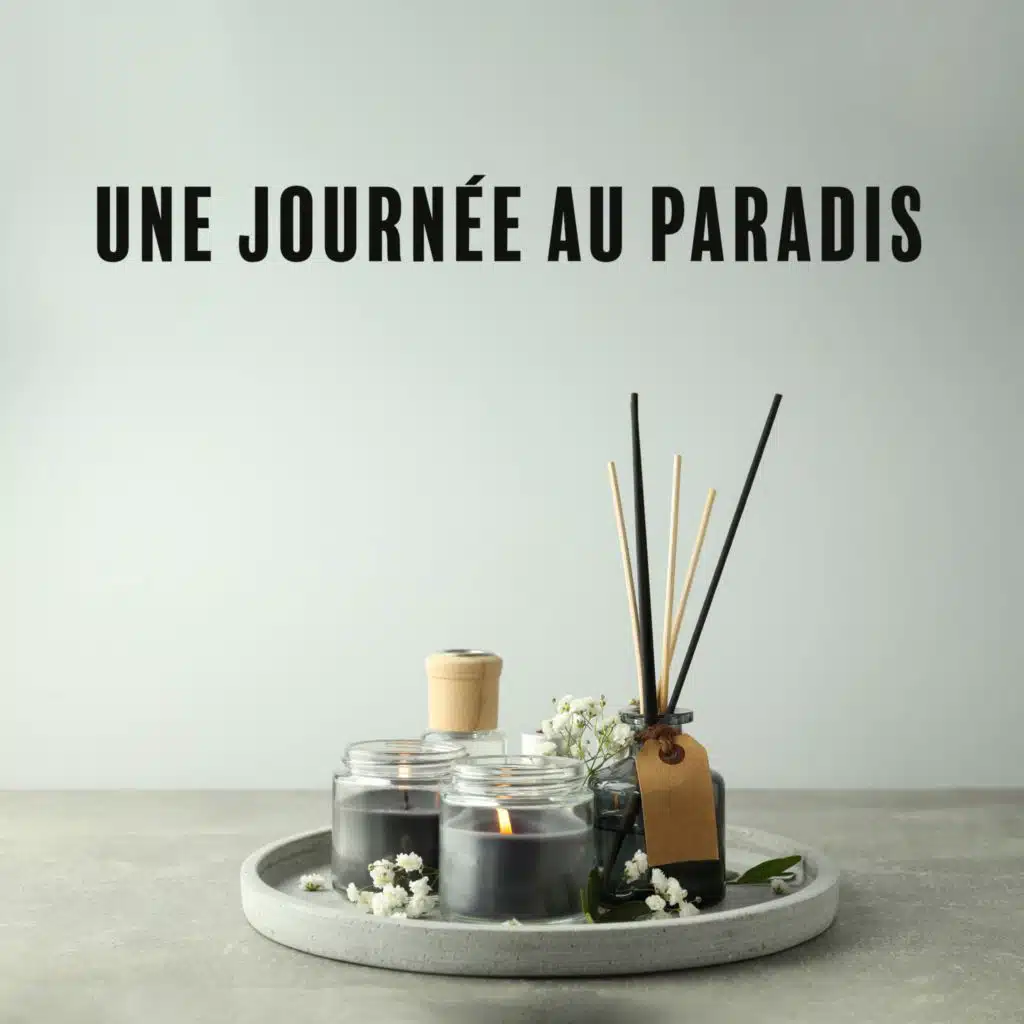 Spa Musique Massage, Spa & Spa, Oasis de Musique Zen Spa