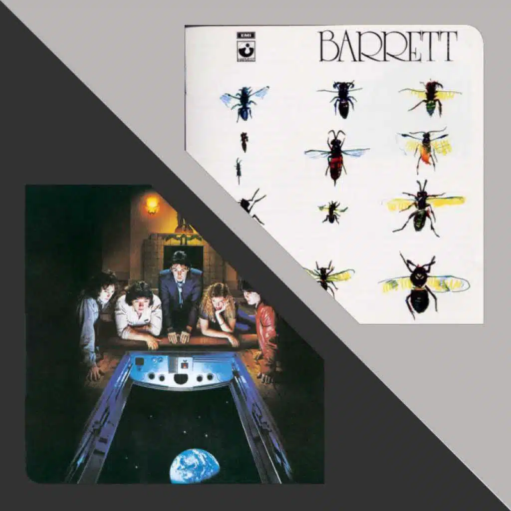 David Gilmour's Contributions