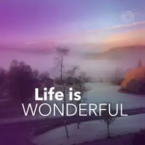 Life Is Wonderful