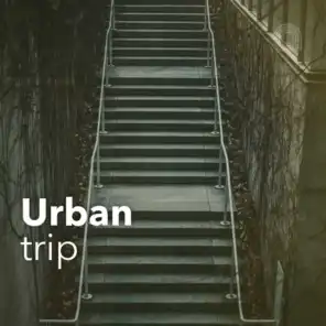 Urban trip