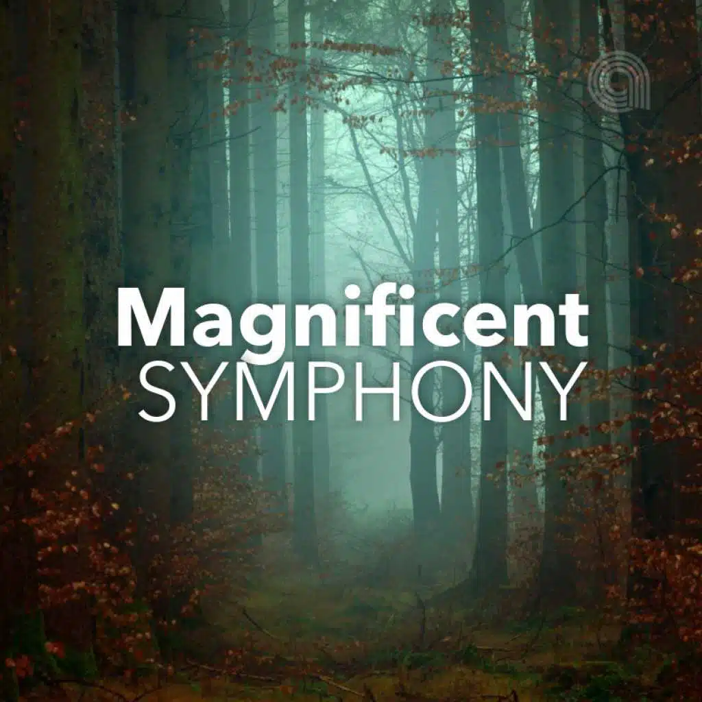 Magnificent  Symphony