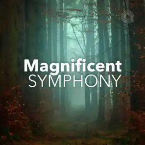 Magnificent  Symphony