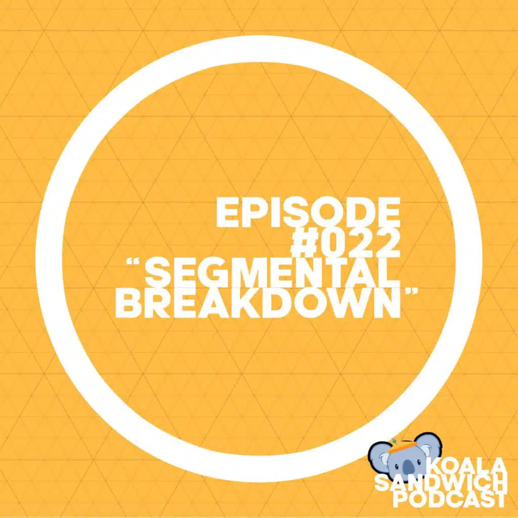 022 Segmental Breakdown