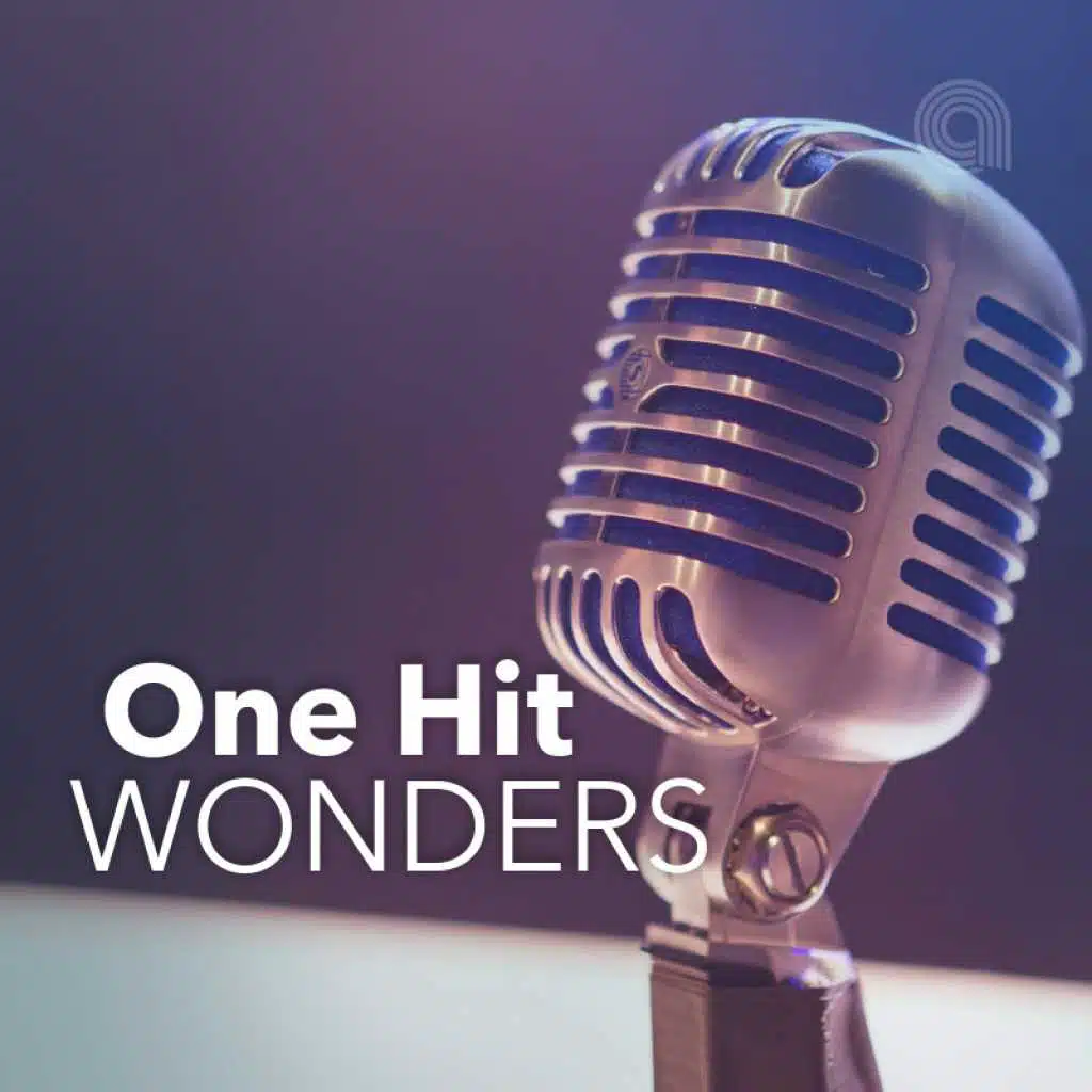 One Hit Wonders